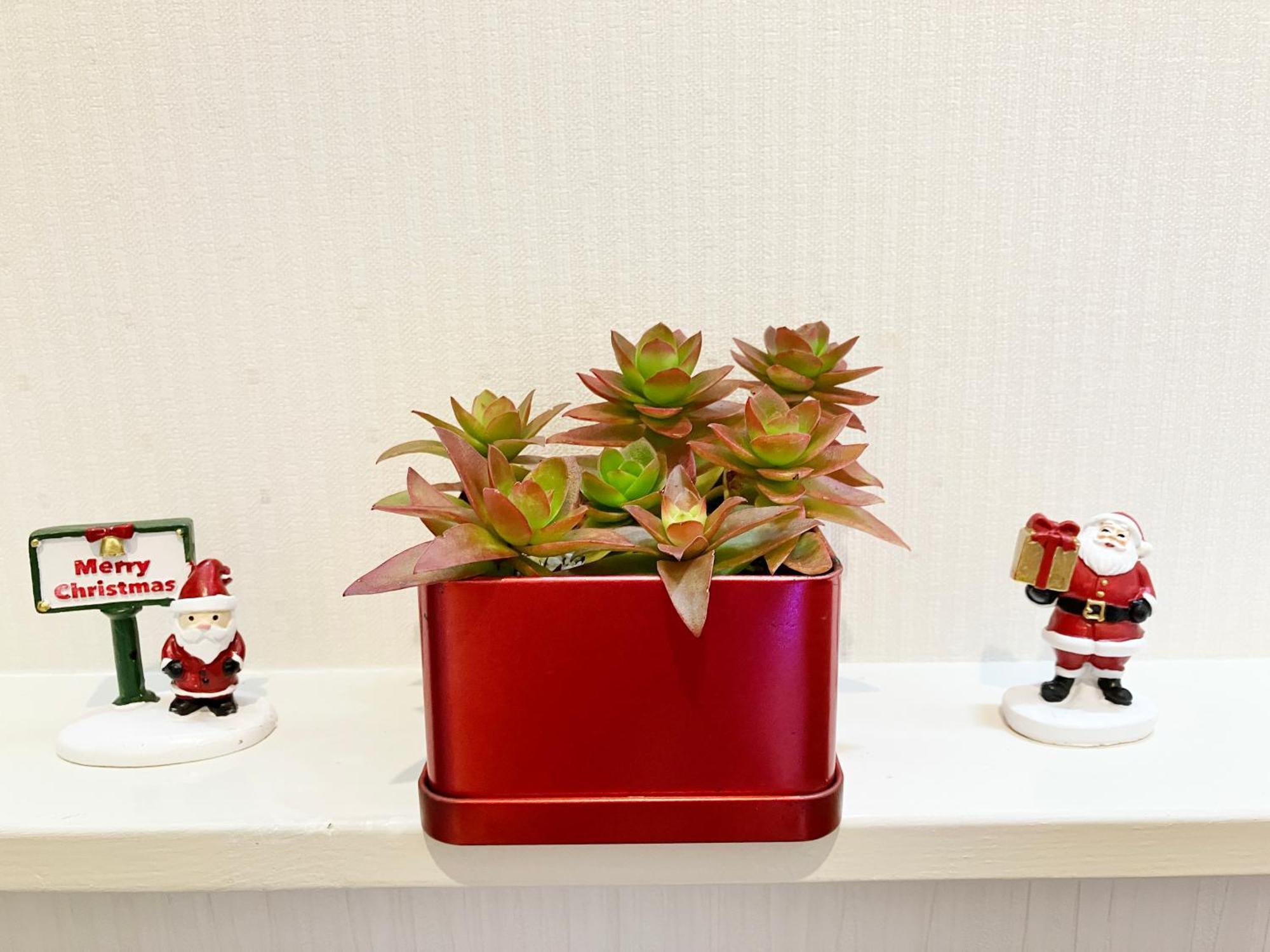 Apartment Ueno Yuyuhouse 1room For Rent, Close To Senso-ji Temple,kaminarimon Gate,kappabashi Dougu Street,akihabara,shinjuku And Disneyland